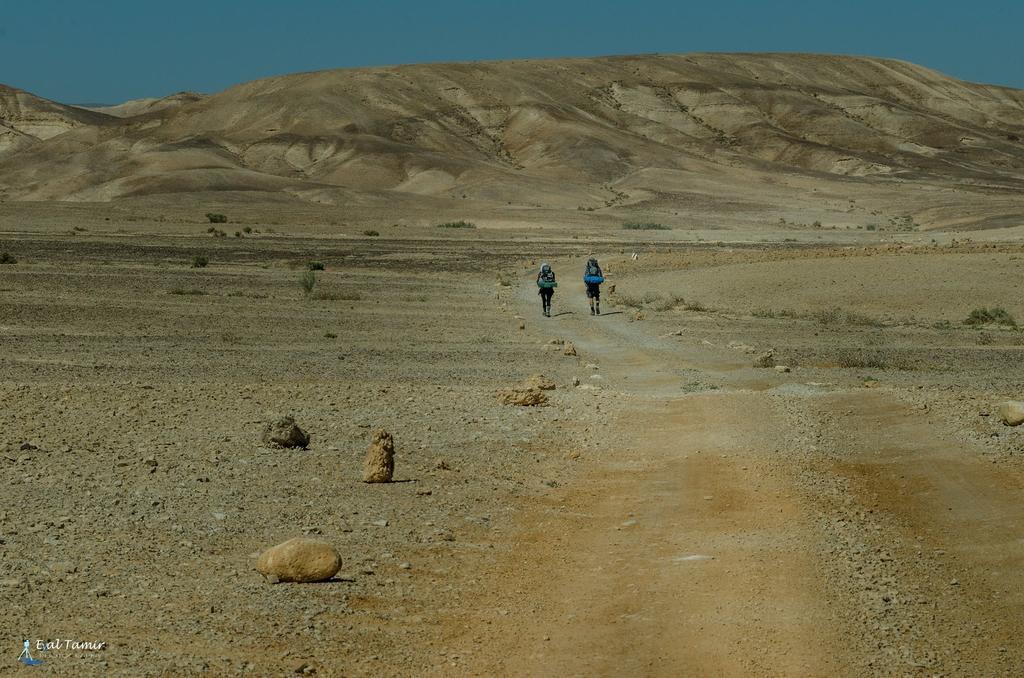 Desert Picture Arad Exteriör bild